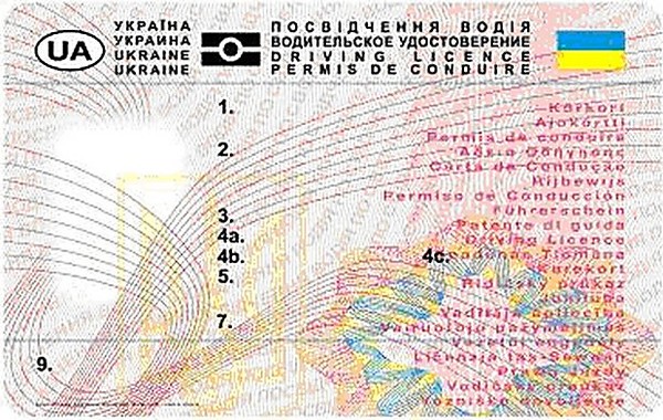 Купівля посвідчення водія через інтернет загрожує кримінальною відповідальністю та судимістю